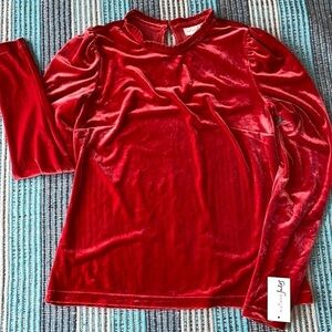 Maison Jules Velvet Mock Neck Ruffle Top